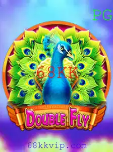 Descubra o Mundo Empolgante de DoubleFly: Introdução, Descrição e Regras do Jogo Inovador